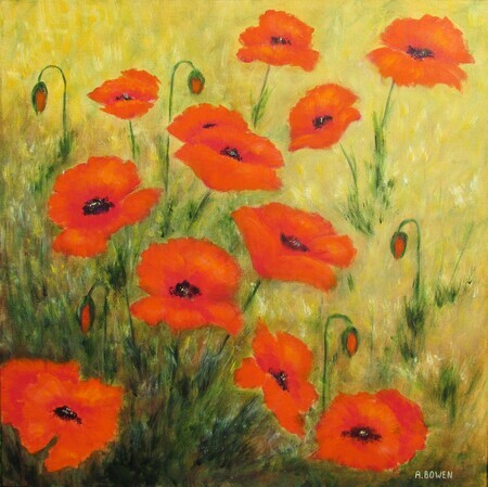 Field Poppies - SOLD