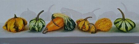 Ornamental Gourds - SOLD