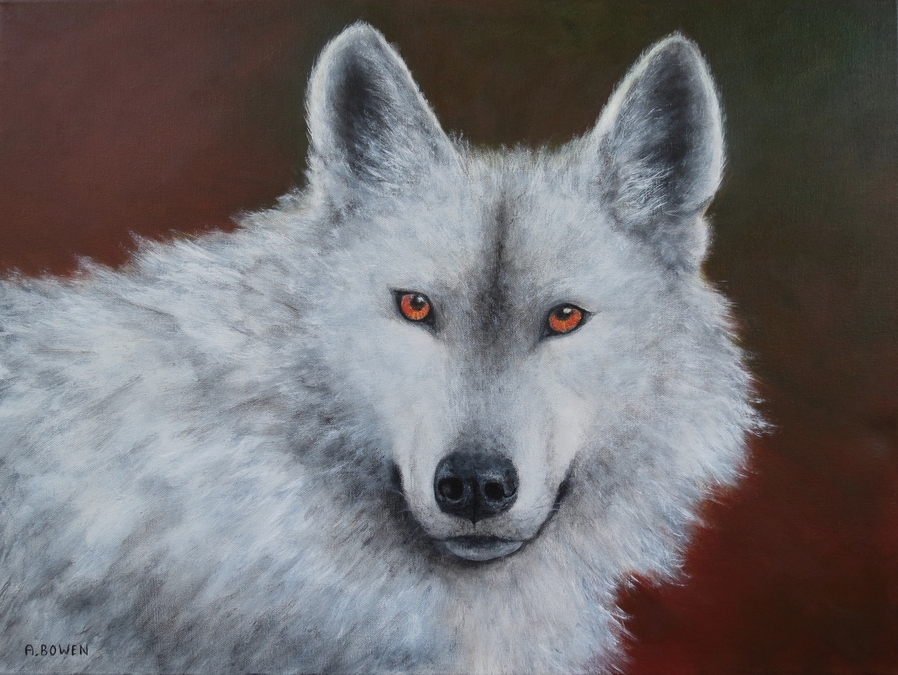 Grey Wolf - SOLD