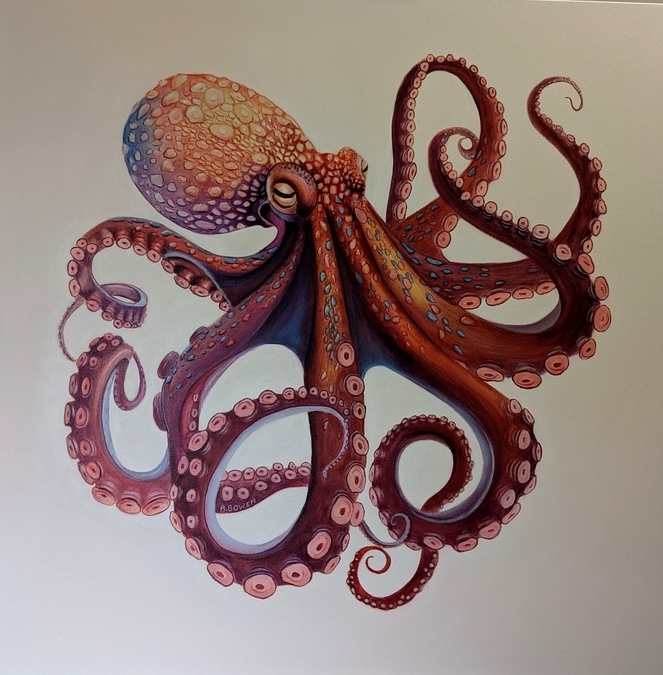 My Octopus Teacher - SOLD