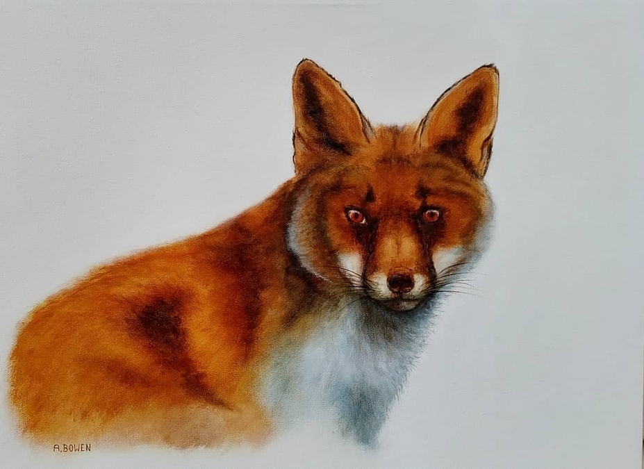 Red Fox