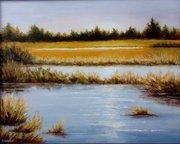 Wetlands